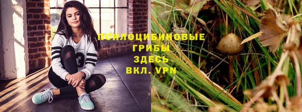 ешки Волосово