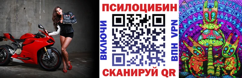 Псилоцибиновые грибы MAGIC MUSHROOMS  Купить  Курганинск 