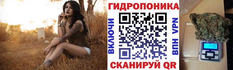 МАРИХУАНА планчик Курганинск