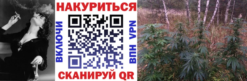 Купить где  Курганинск  Канабис семена 